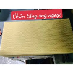 [Nhi VTO] 20 Tấm chân tầng ong ngoại cầu 48