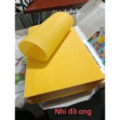 [Nhi VTO] 50 Tấm Chân Tầng Ong Nội cầu 42 Từ Sáp Nguyên Chất