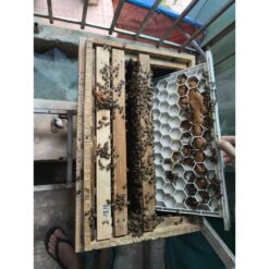 [Nhi VTO] Ván Ngăn Nhựa Kết Hợp Cầu Bo Phấn Dài 42cm